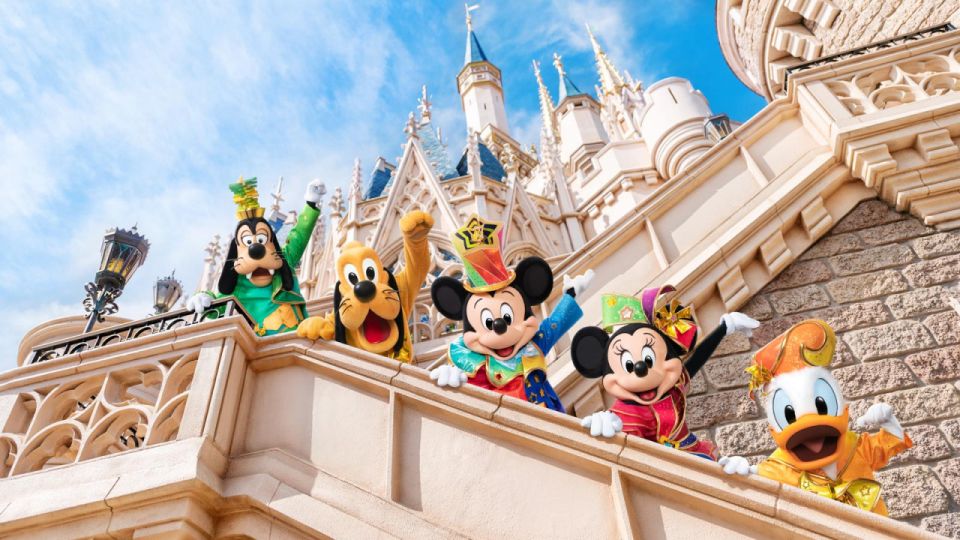 Tokyo Disneyland: 1-Day Entry Ticket and Private Transfer - Ticket Details