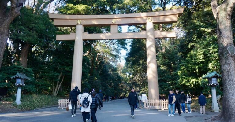 Tokyo From Meiji Shrine to Shibuya Crossing & Lunch,Dessert