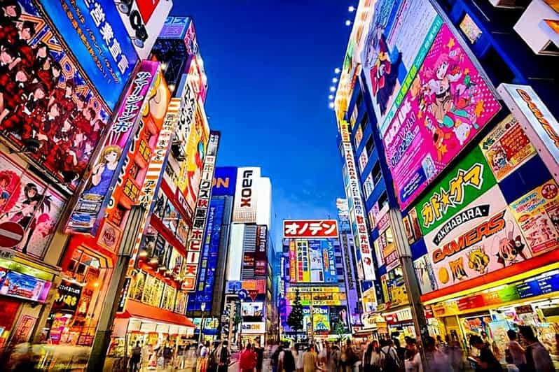 Tokyo Full Day Private Tour With English Speaking Driver - Tour Details