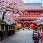 Tokyo: Full Day Private Walking Tour With a Guide Tour Details