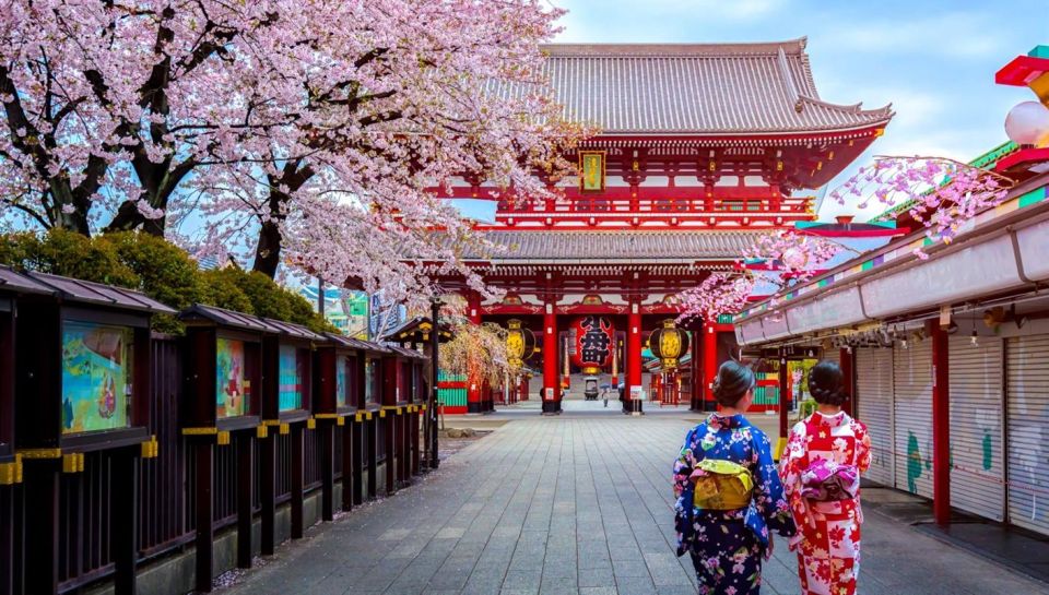 Tokyo: Full Day Private Walking Tour With a Guide - Tour Details