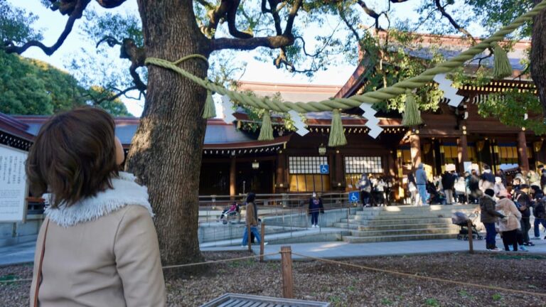 Tokyo Harajuku Meiji Shrine 1h Walking Explanation Tour