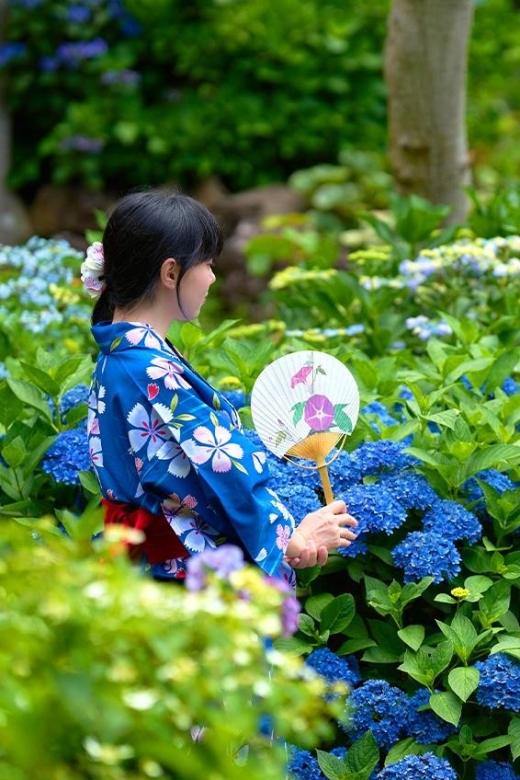 Tokyo: Izu Hydrangea Ocean, Jogasaki Beach & Hot Spring Day