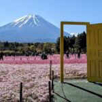 Tokyo: Mount Fuji Customizable Private Tour by Car Tour Details