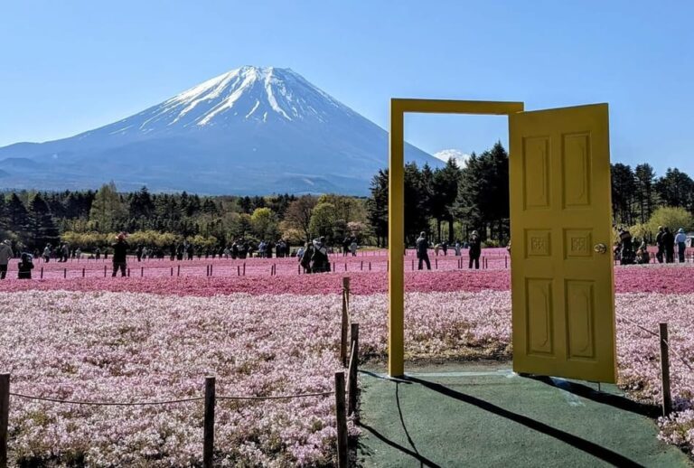 Tokyo: Mount Fuji Customizable Private Tour by Car