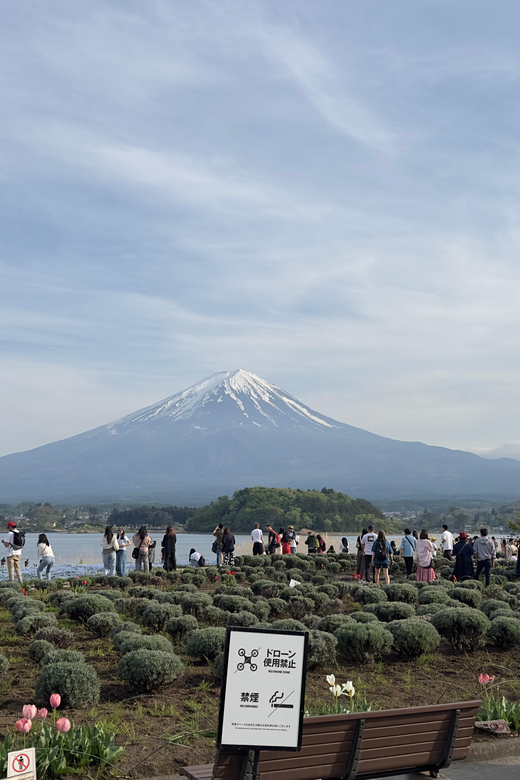 Tokyo: Mt. Fuji and Lake Kawaguchi Private Tour