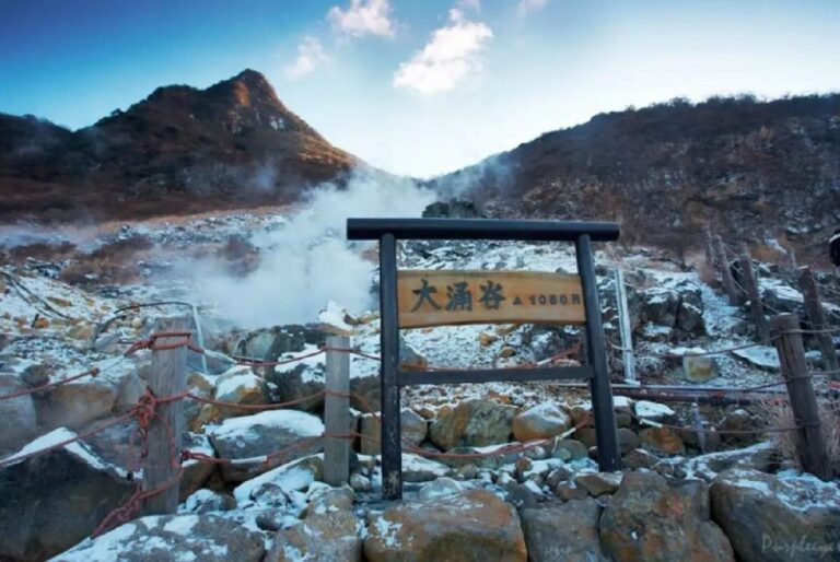 Tokyo: Mt Fuji Area, Lake Ashi, Owakudani, Onsen 1-Day Tour