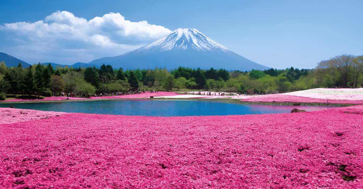 Tokyo: Mt. Fuji Festival, Ropeway, & Fruit Picking Day Trip - Trip Details