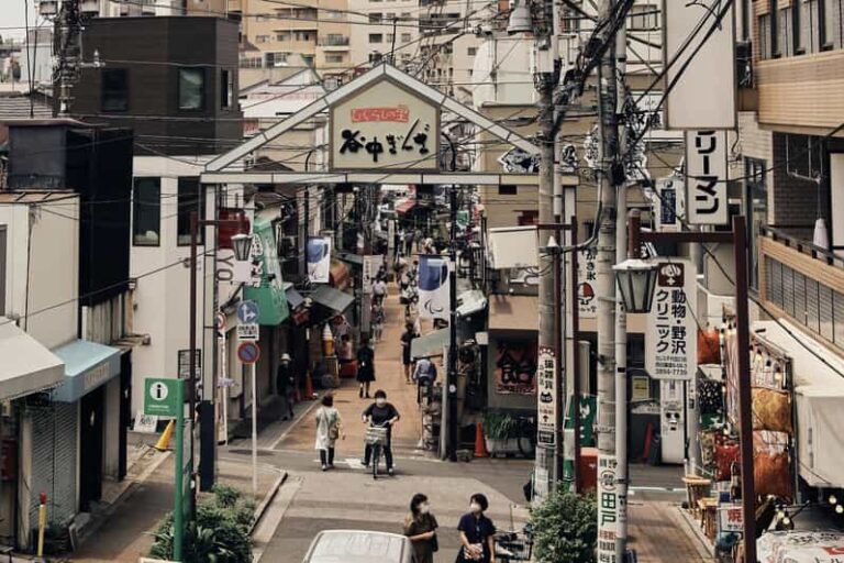 Tokyo Old Quarter – Yanaka Walking Tour