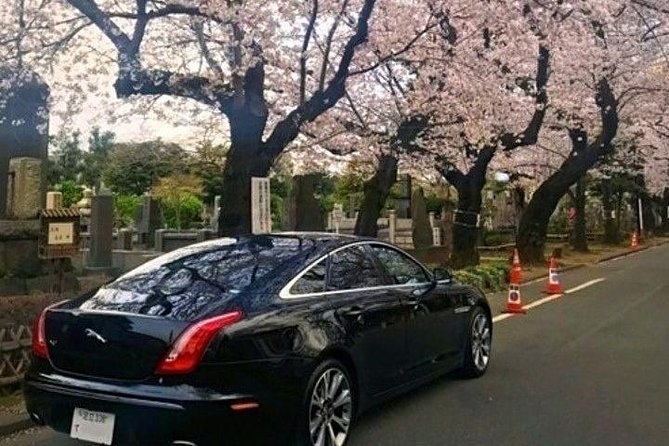 Tokyo Private Full-Day Landmark Tour, by Car, Custom Itinerary (Mar ) - Tour Pricing and Guarantee