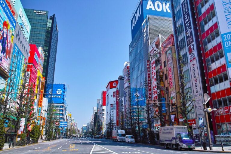 Tokyo: Private Full-Day Tour With Hotel Pickup