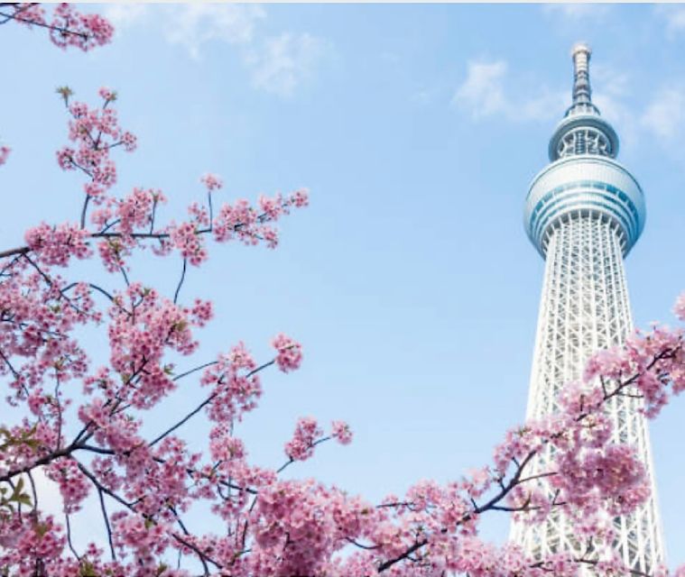 Tokyo Private Tour: Customizable (Up-To 6 Persons)