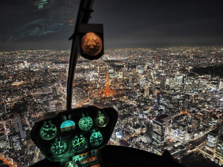 Tokyo: Scenic Helicopter Flight