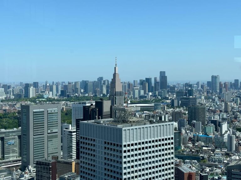 Tokyo: Shinjuku Sightseeing Tour With Japanese Lunch