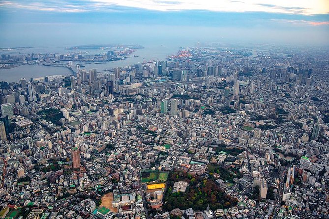 Tokyo Skyscraper Tour Over Tokyo Bay, Shibuya, and Shinjuku