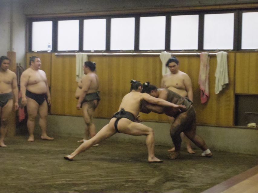 Tokyo: Sumo Morning Practice Viewing Tour - Tour Details