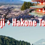 Tokyo to Mount Fuji and Hakone: Private Full Day Tour Tour Details