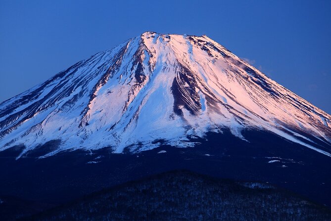 Tokyo to Mt Fuji, Oshino Hakkai: 1-Day Group Tour and Shopping (Mar )