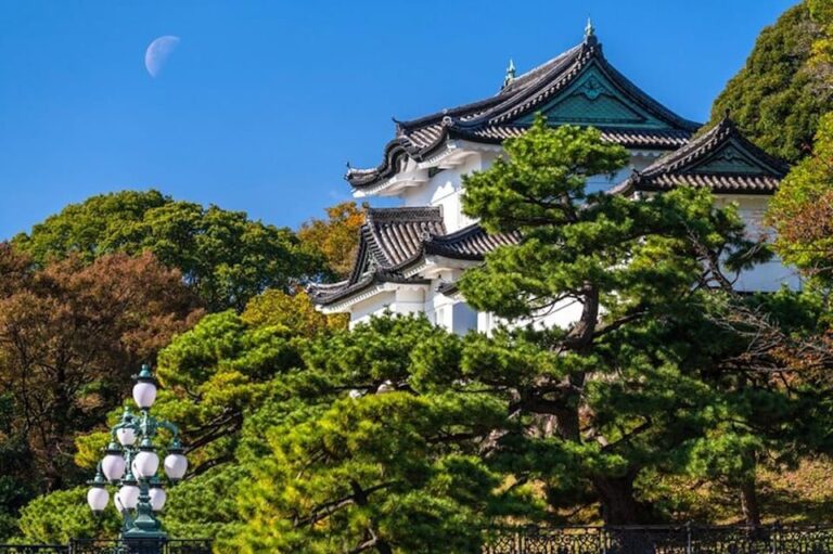 Tokyo: Tokyo Imperial Palace History Private Walking Tour