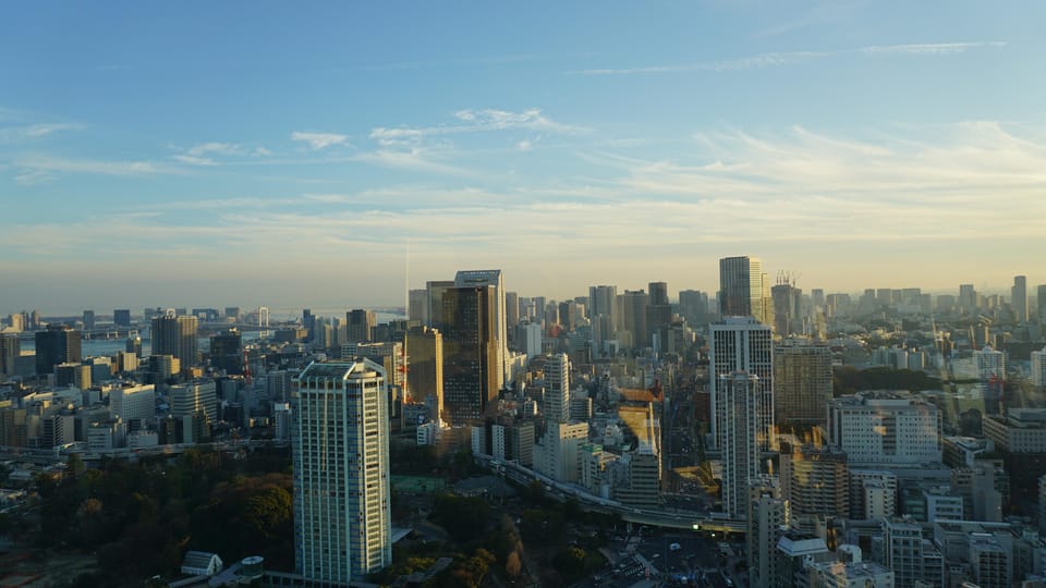 Tokyo Tower Secret Photo Spot and Skyline Tour - Activity Details