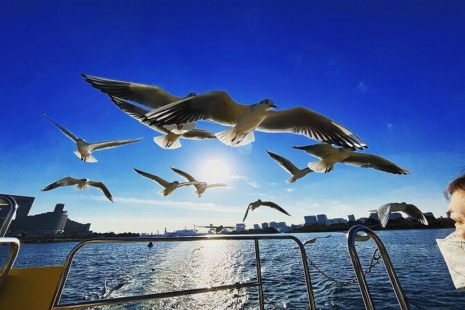 Tokyo Water Taxi Heritage Tour