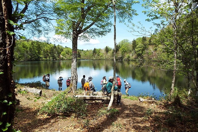 Towards the Quiet Unexplored Pond, Naganuma Guided Walk