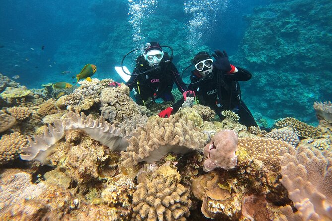 Trial Boat Dive 1 DIve at Minna or Sesoko , Okinawa