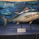 Tuna Auction and Tokyo Toyosu Fish Market Tour Tour Details