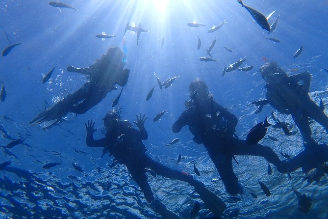 Two-Hour Group Snorkeling Trip to the Blue Cave 2024 – Onna-son