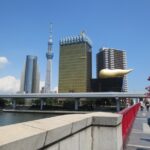 Visit Tokyo City in Group With the Italian Speaking Guide Full Day Weather and Minimum Travelers