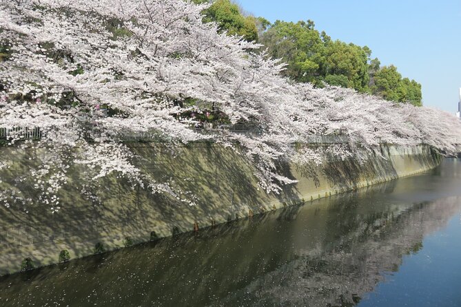 Walking Tour of Hidden Neighborhoods in Tokyo