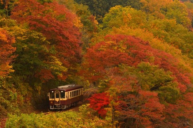 Watarase Keikoku Railway, Takatsudo Gorge,Illumination at Ashikaga Flower Park - Tour Highlights