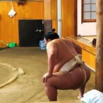 Watch Sumo Morning Practice at Stable in Tokyo Tour Details