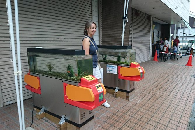 Yamato-Koriyama Castle and Goldfish Small-Group Tour From Nara