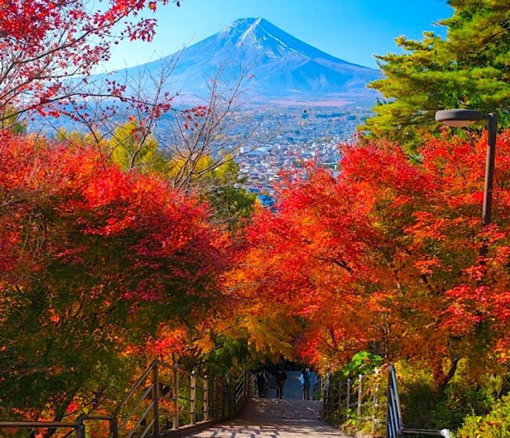 2-Day Private Tokyo MT Fuji and Hakone Tour With Guide - Just The Basics