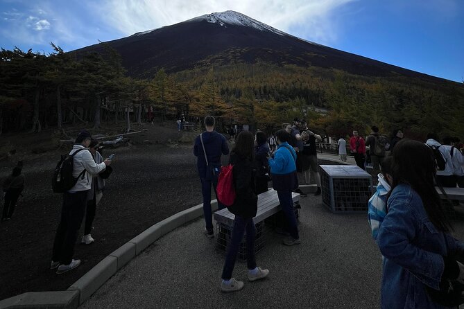 1 Day Private Tour in Mt.Fuji and Hakone English Speaking Driver - Inclusions and Exclusions