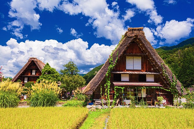 1Day Private Shirakawago and Takayama With Public Bus From Nagoya - Tour Details