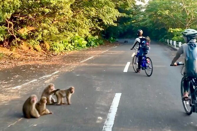 4 Hour Guided Cycling Experience in Yakushima - Booking and Cancellation