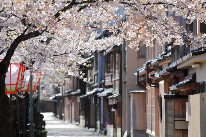 4 Hour Unique Kanazawa Cherry Blossom Sakura Private Experience - Private Tour Details