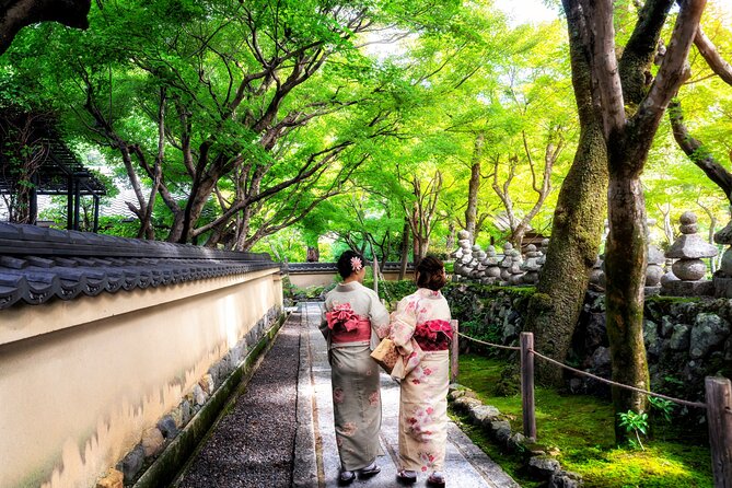 6-Hour Private Walking Cultural Tour in Kyoto - Operator Information