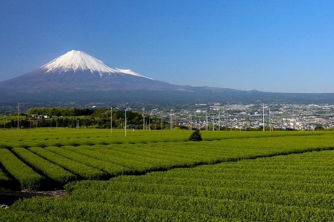 A Trip to Enjoy Groundwater and Nature Behind Mt. Fuji - Highlights