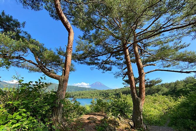 Aokigahara Nature Conservation Full-Day Hiking Tour - Meeting Point and Pickup