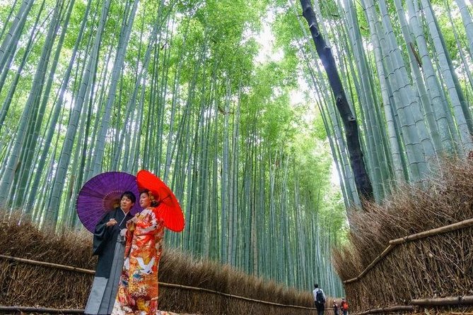 Arashiyama Bamboo Grove Day Trip From Kyoto With a Local: Private & Personalized - What To Expect During the Tour