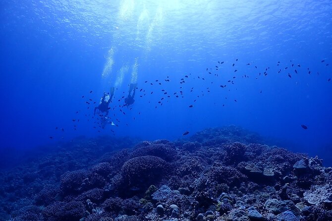 Boat Fundive 2Dives at Minna Isl or Sesoko , Okinawa - Logistics