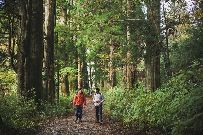 Custom Private Tour in Hakone With a Certified Local Guide - Tour Inclusions