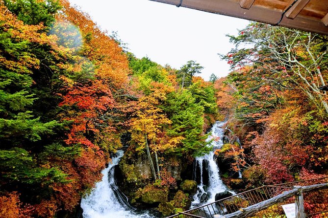 Daytrip to Nikko From Tokyo With Local Japanese Photograher Guide - Photographic Opportunities