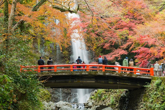 Discover Bohemian Nakazakicho - Hidden Gems to Explore