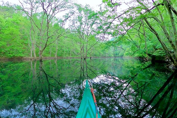 Dive Naturally! Melting Kinshu Lake Submerged Forest Canoe Tour - Additional Info