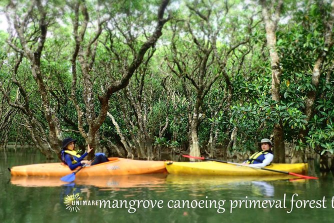 Enjoy a Private Mangrove Canoe in Amami – a Special Journey in Nature - Whats Included in the Tour Package