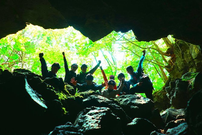 Explore Mt. Fuji Ice Cave in Aokigahara Forest - Visitor Experiences